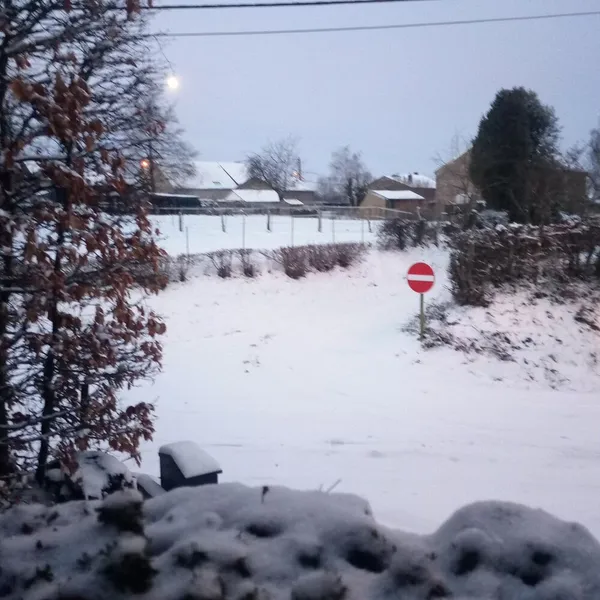 Foto 6