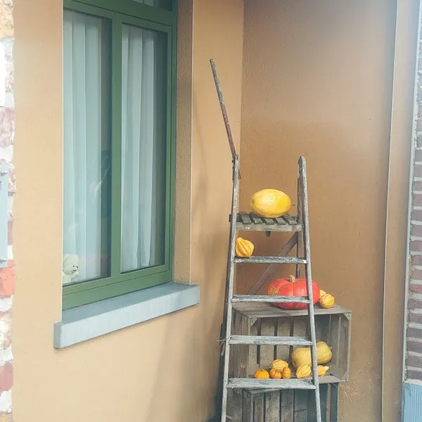 Foto 10
