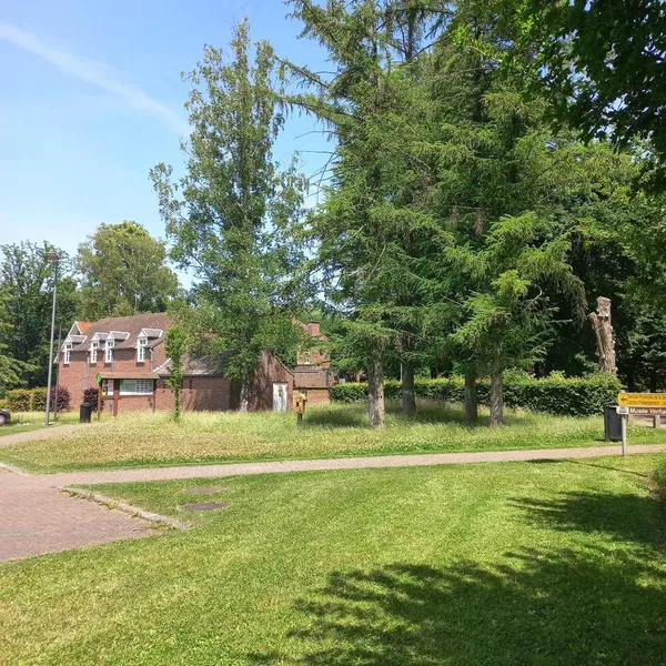 Foto 2