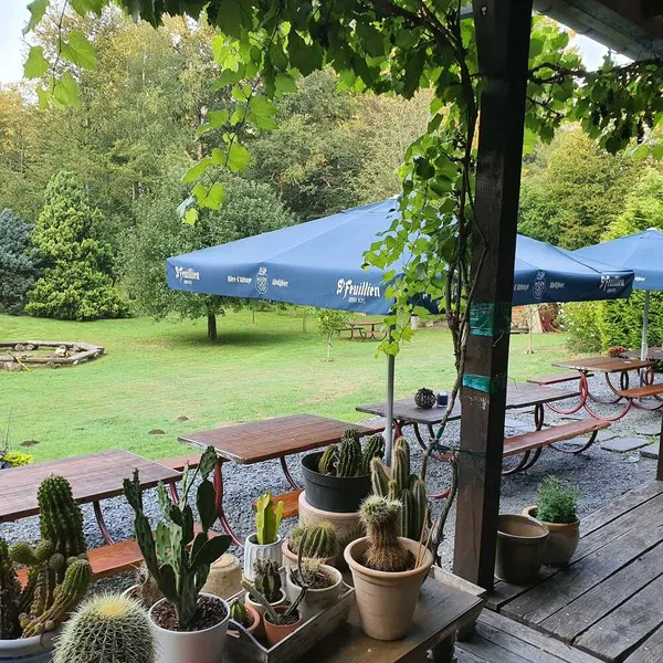 Foto 10