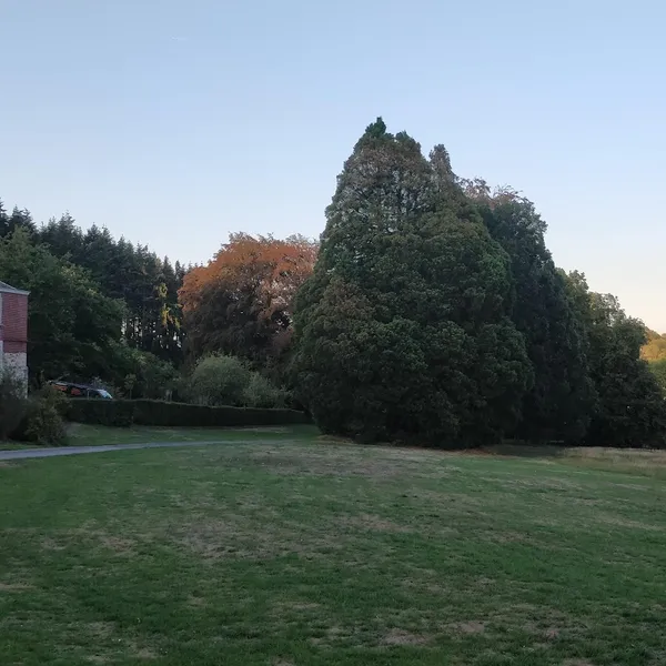 Foto 7