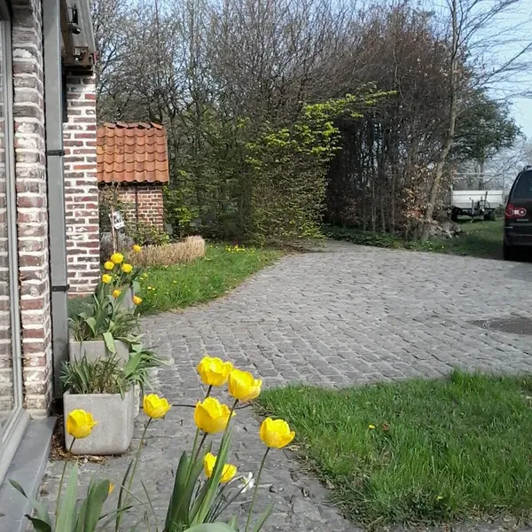 Foto 10