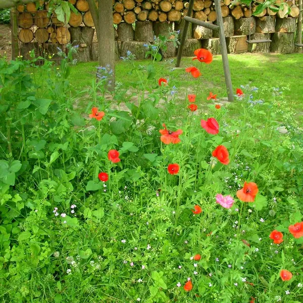 Foto 10