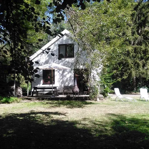 Foto 7