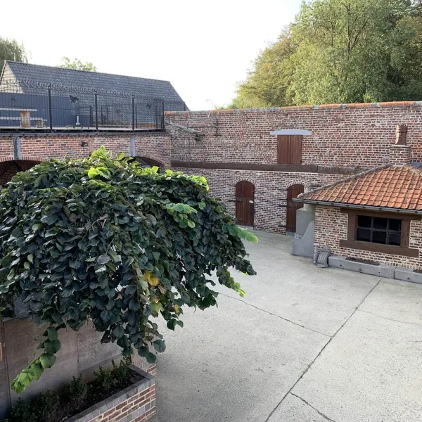 Foto 2