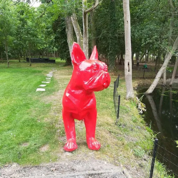 Foto 10