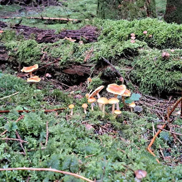 Foto 10