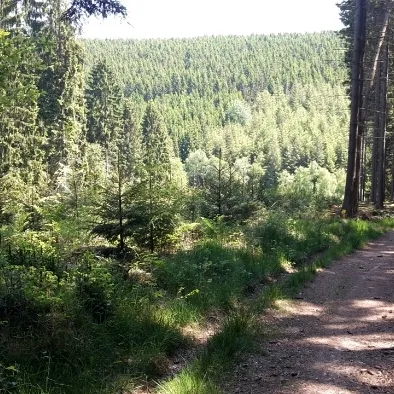 Foto 9