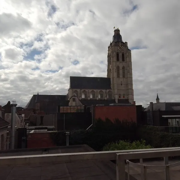 Image 7