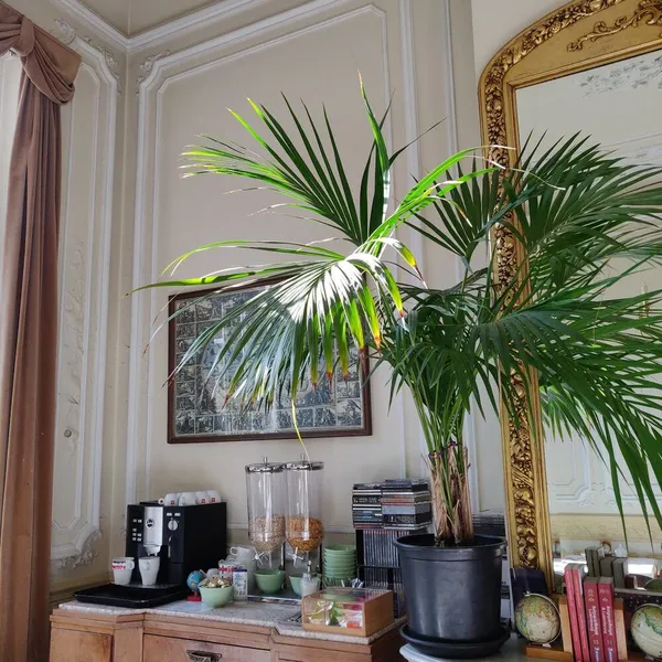 Foto 7
