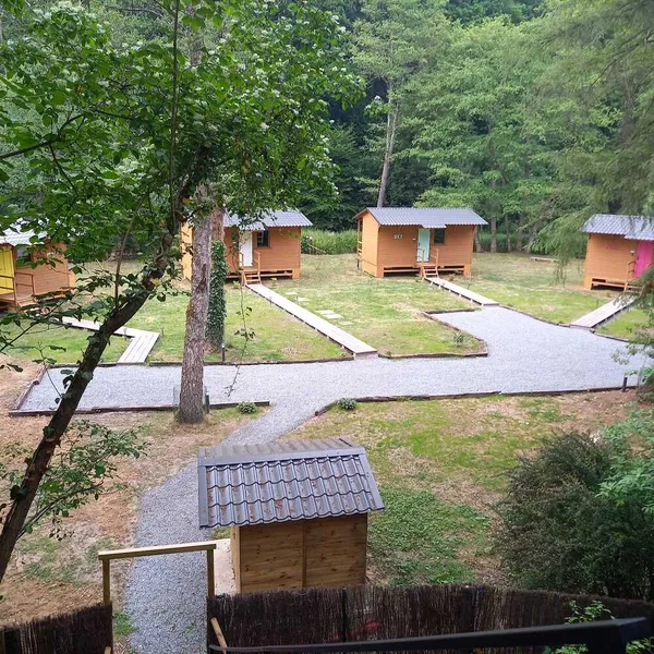 Foto 1