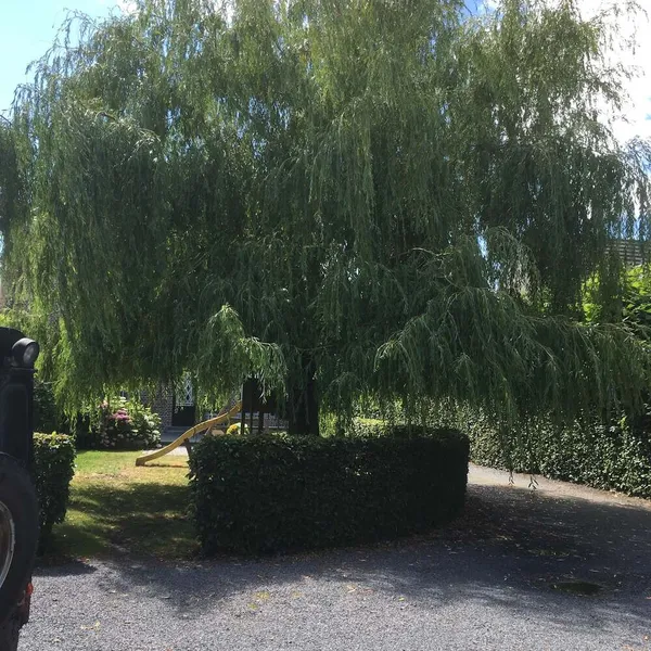 Foto 10