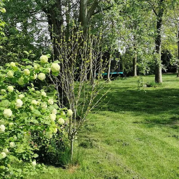Foto 9