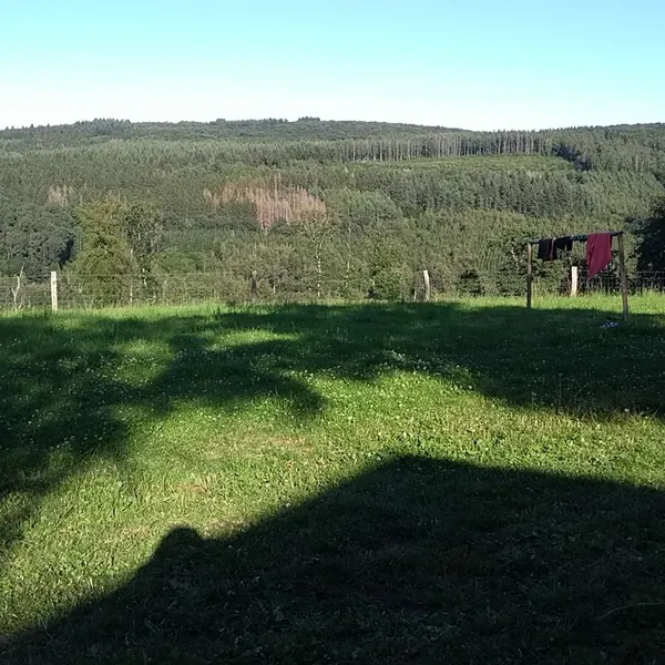 Foto 10