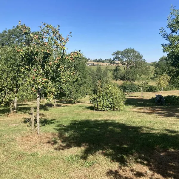 Foto 10