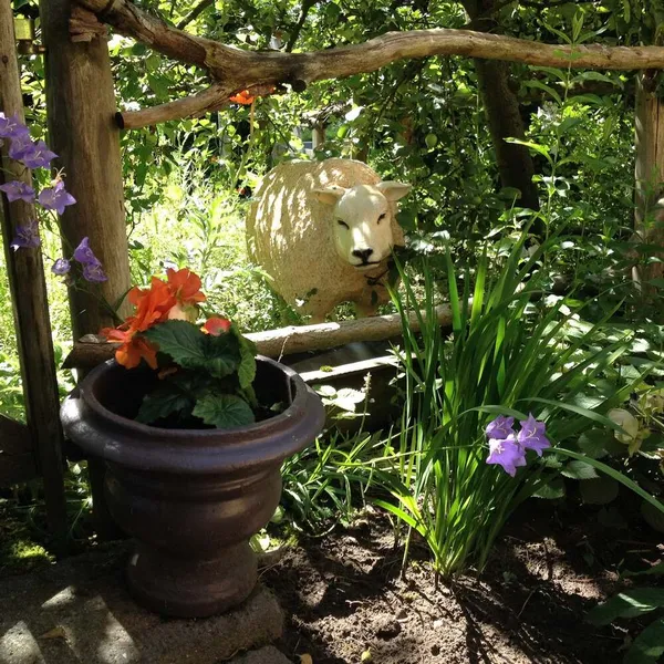 Foto 10