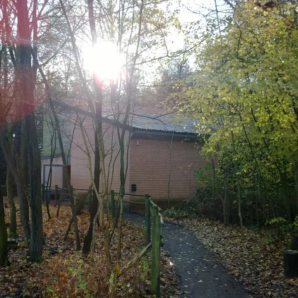 Foto 7