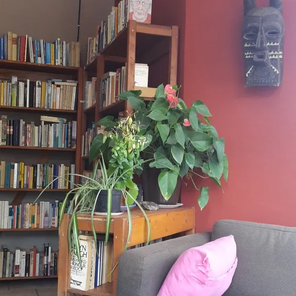 Foto 10