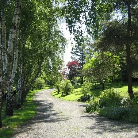 Foto 8