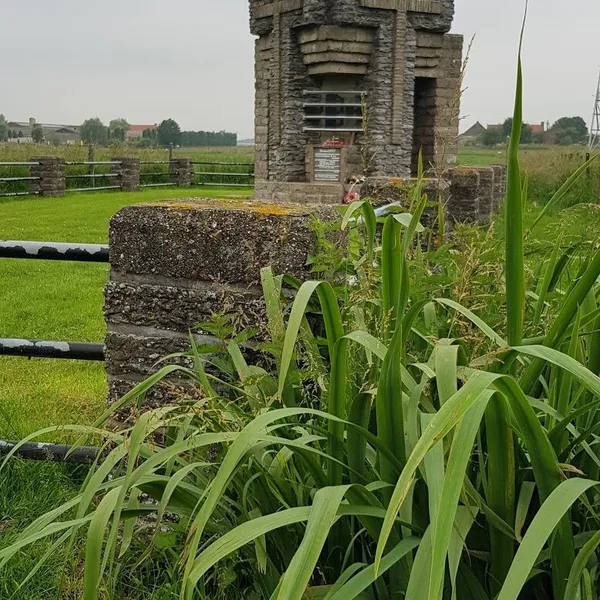Foto 10