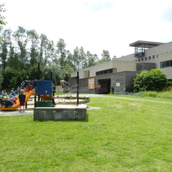Foto 5