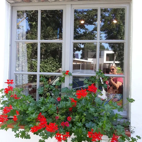 Foto 9