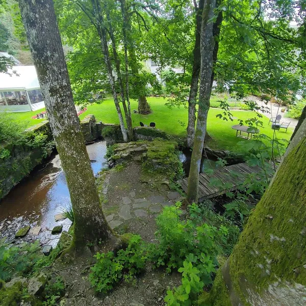 Foto 10