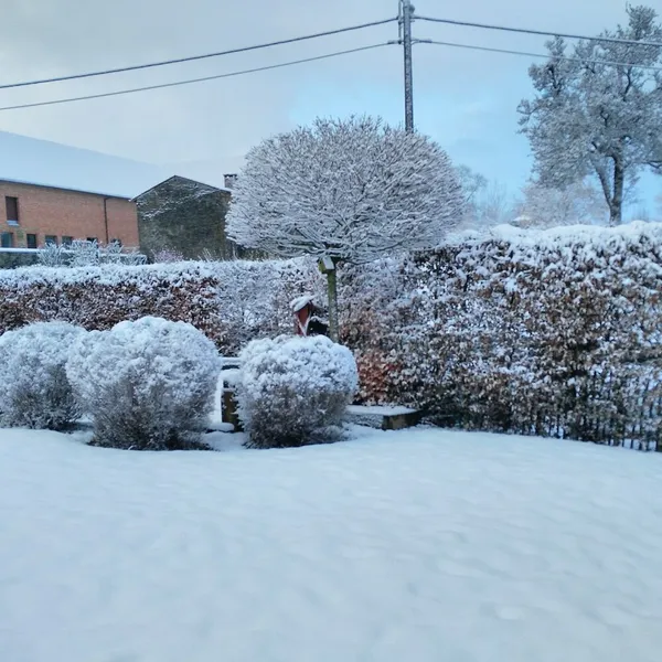 Foto 3