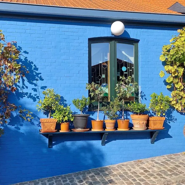 Foto 1
