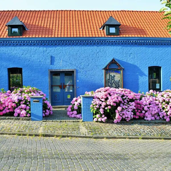Foto 10