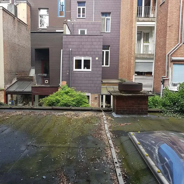 Foto 7