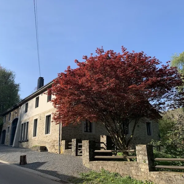 Foto 10