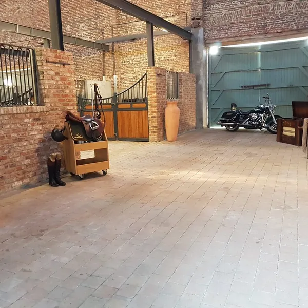 Foto 7
