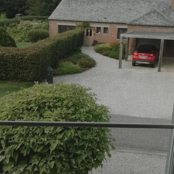 Image 10