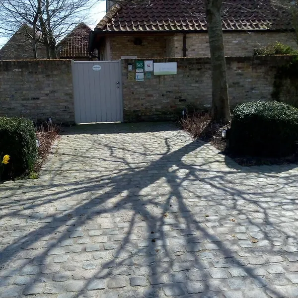 Image 6