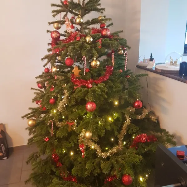 Foto 4