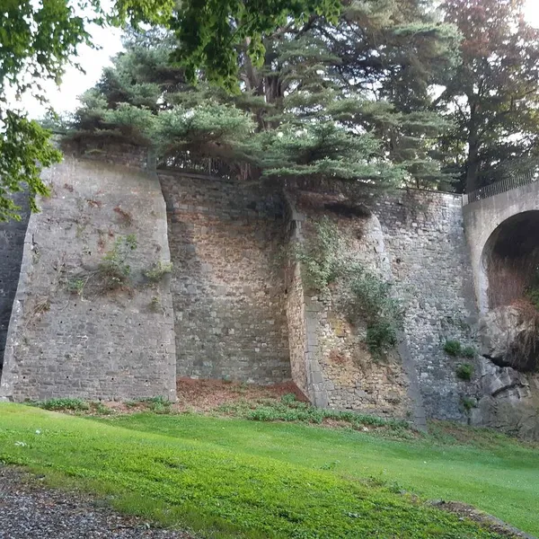 Foto 10