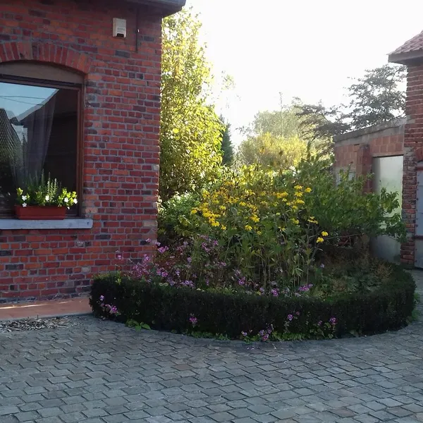Foto 3