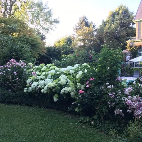 Foto 7