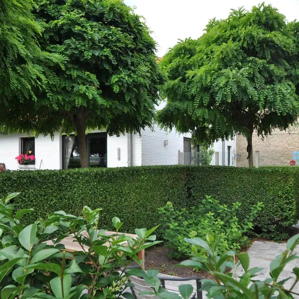 Foto 7