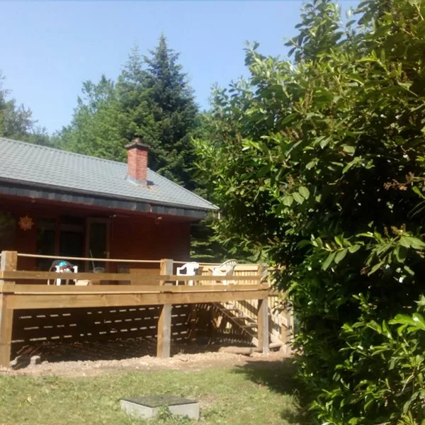 Image 5