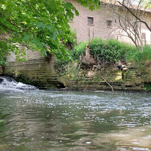 Foto 10