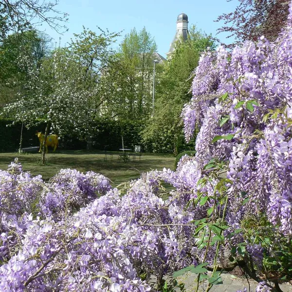 Foto 9