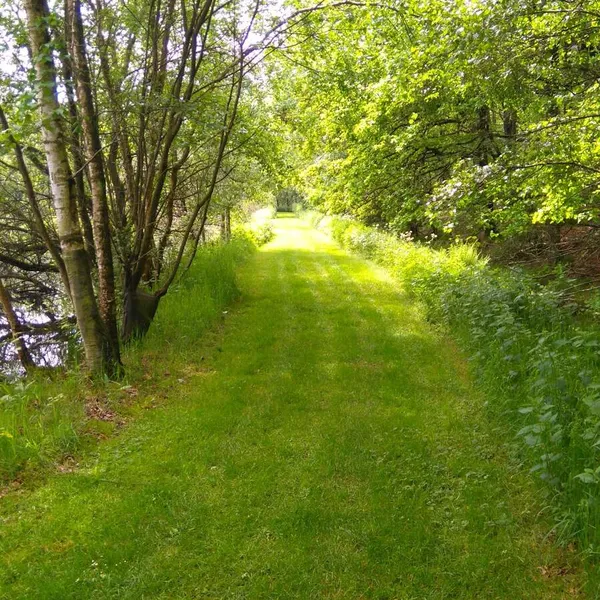 Foto 9