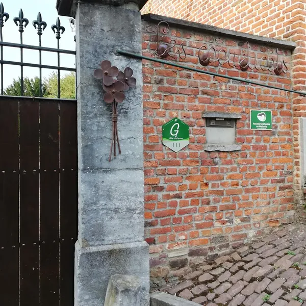 Foto 1