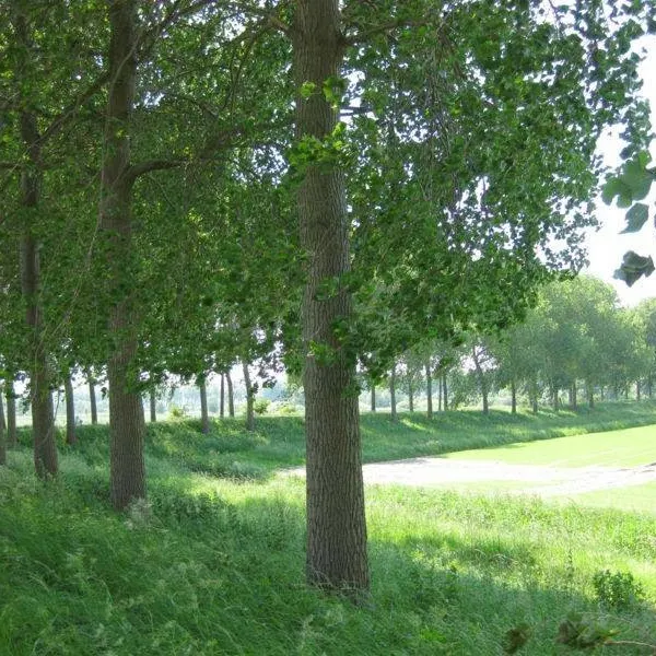 Foto 8