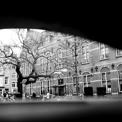Image 71