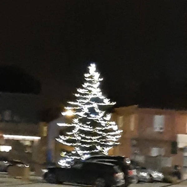 Foto 8