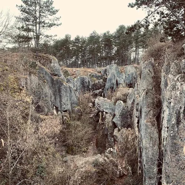 Image 10