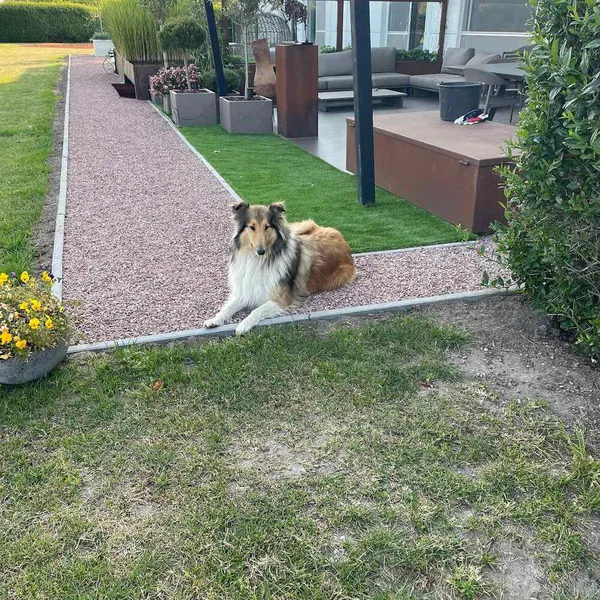 Foto 1